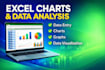 do professional excel charts, graphs, and data analysis