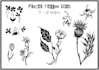 draw your tattoo design