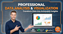 analyze and visualize your data professionally