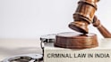 advice you on criminal matters