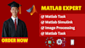 do matlab programming matlab simulink gui and simulation task and project