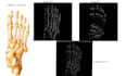 perform image processing and edge detection using python and opencv