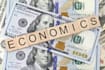 do economics research and translation