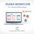 build a professional asana workflow for your team or business
