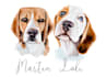 draw cute watercolor pet portrait
