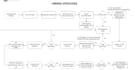 create sops and operations systems for your business