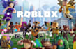develop a custom roblox game with professsional scripting