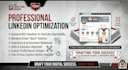 provide professional linkedin profile optimization and headline writing