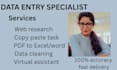 do expert data entry, web research and PDF to excel conversion