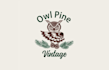 create a professional owl pine logo design