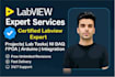 provide professional labview coding and support