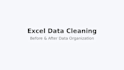 fix messy excel data, remove duplicates and format professionally