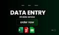 do data entry work and virtual assistant