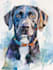 do a custom pet portrait, dog portrait, cat portrait