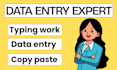 do accurate data entry, excel data cleaning, and formatting