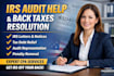 assist with irs audit help and back taxes resolution
