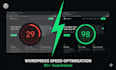 do deep wordpress speed optimization at code level