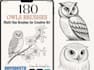 do retro hand drawn crow owl logo design