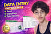 do accurate excel data entry, data cleaning and web research