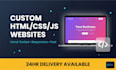 professional HTML CSS javascript website development