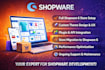 setup and shopware 6 store, integrate shopware plugins, migrate shop to shopware