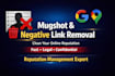 remove mugshots, negative search results and bad google maps links legally