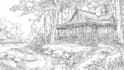 draw black and white illustrations