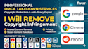 provide professional dmca takedown and copyright removal