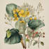 draw botanical illustration art for you
