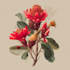 draw best botanical illustration
