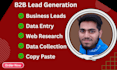 b2b lead generation, web research, data entry and copy paste