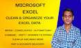 do professional data cleaning, formatting, and excel data cleanup