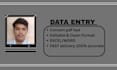 type PDF into word or excel