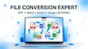 do fast and accurate file conversion