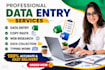 do data entry, copy paste and web research