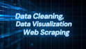 do python data cleaning, analysis, visualization