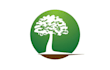 make a custom beautiful pine tree logo design
