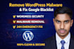 remove wordpress malware and fix google blacklist and SEO spam keyword