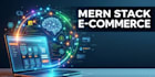 build a custom mern stack e commerce website