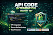 program a custom api integration or automation api developer