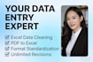 provide you with data processing services
