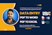 data entry copy paste pdf to excel translate eng to hindi