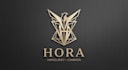 design a luxury and unique watch brand logo