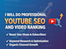 do professional youtube SEO and video ranking