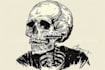 draw awesome skull or skeleton illustration for you