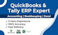 handle quickbooks, tally erp and excel data entry accounts