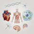 do medical and scientific illustrations
