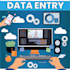 data entry, internet research and excel data tasks