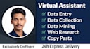 do fast and accurate data entry in excel or word