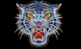 do custom embroidery digitizing and 3d puff logo design for all formats